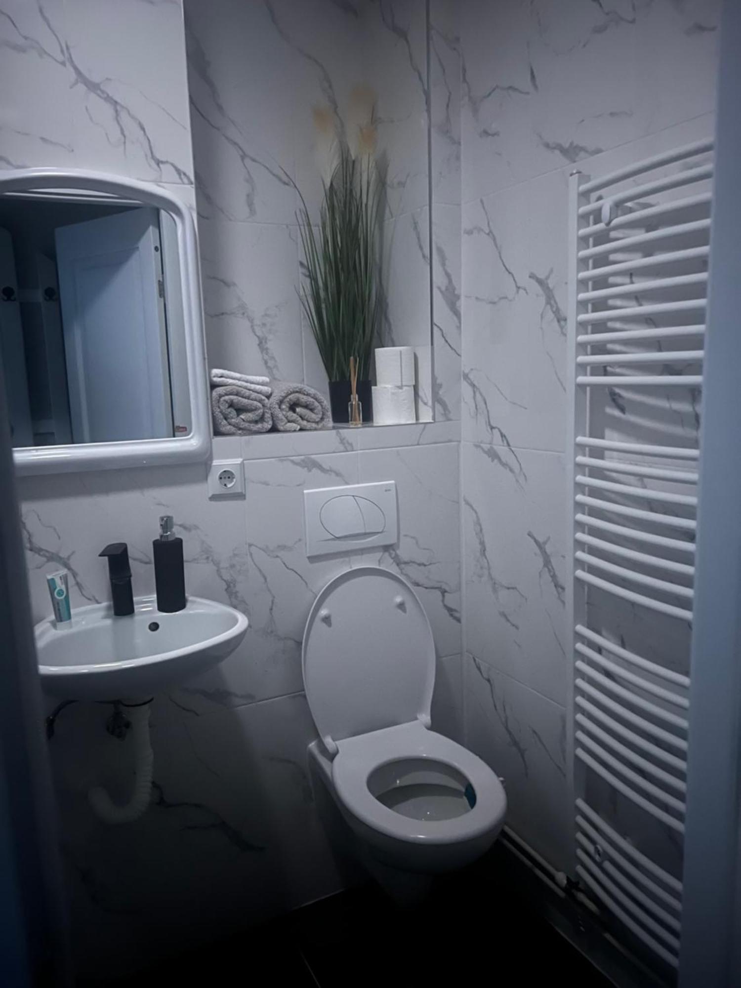 Apartament 2 Camere Baia Mare Esterno foto